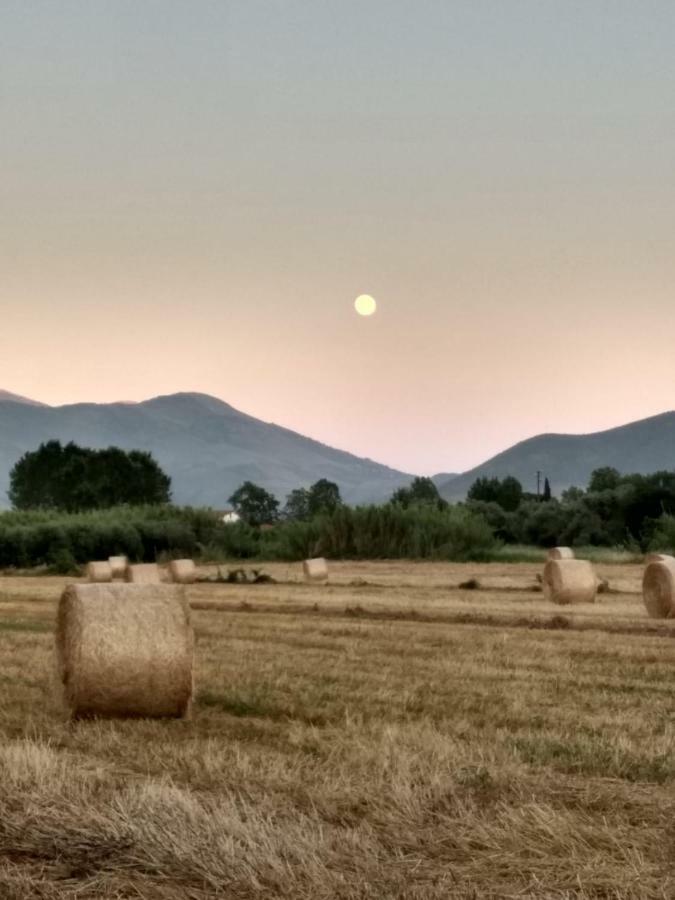 Il Giardino Delle Zagare Bed & Breakfast Fondi Eksteriør bilde